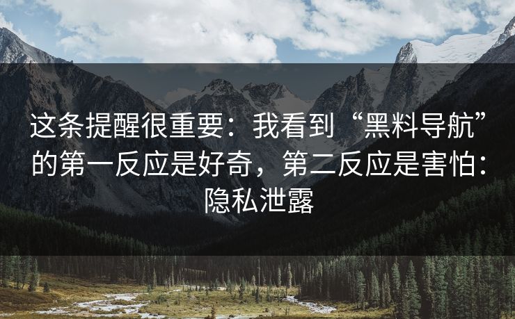 这条提醒很重要：我看到“黑料导航”的第一反应是好奇，第二反应是害怕：隐私泄露